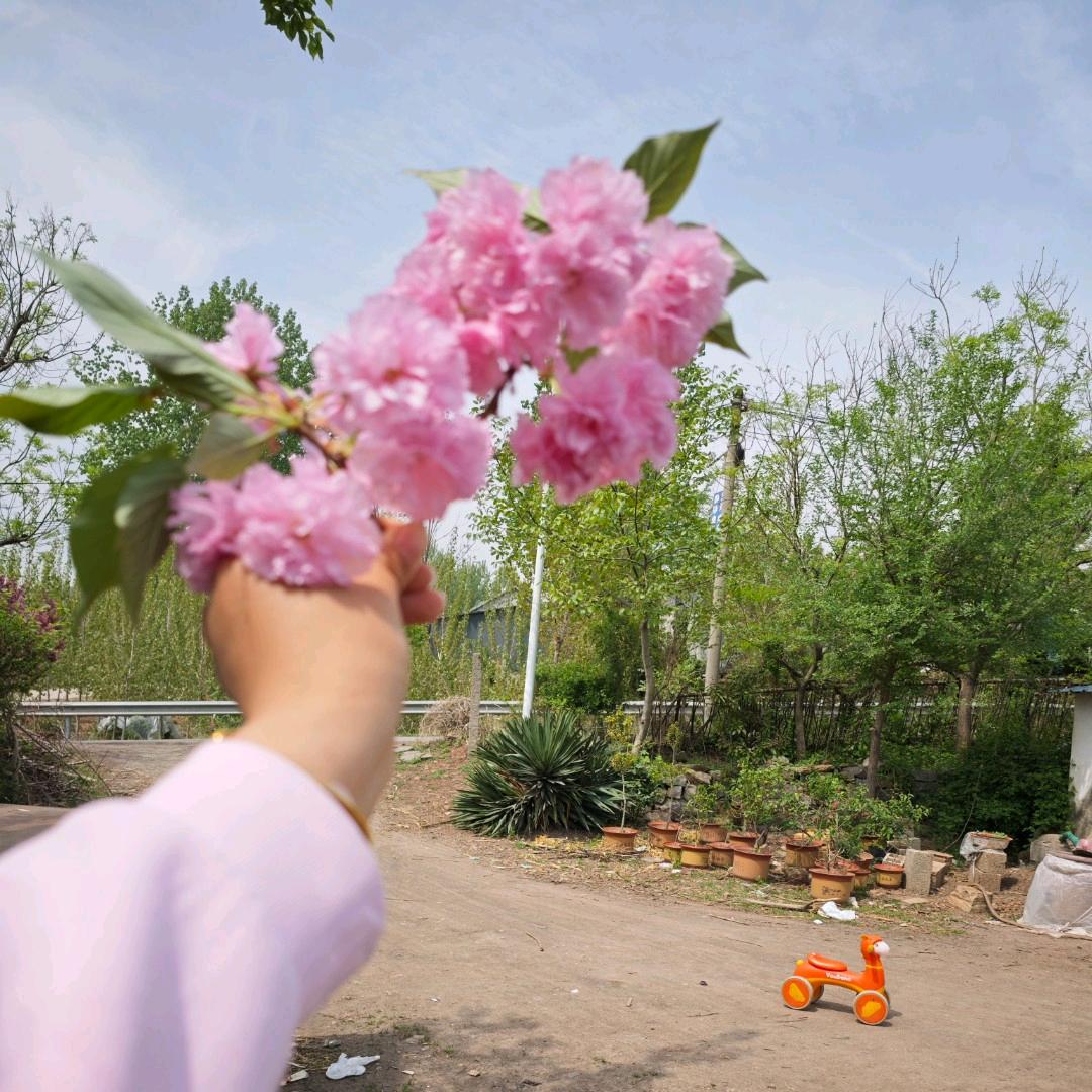 💐陕西姑娘在山东