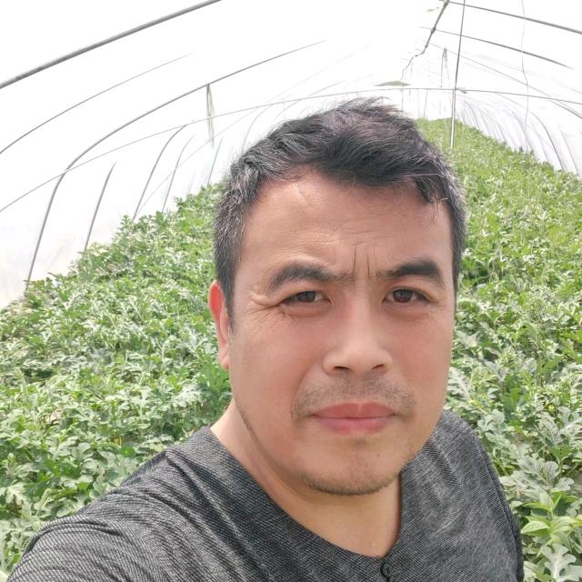 路玉峰 裕丰助农西瓜优品