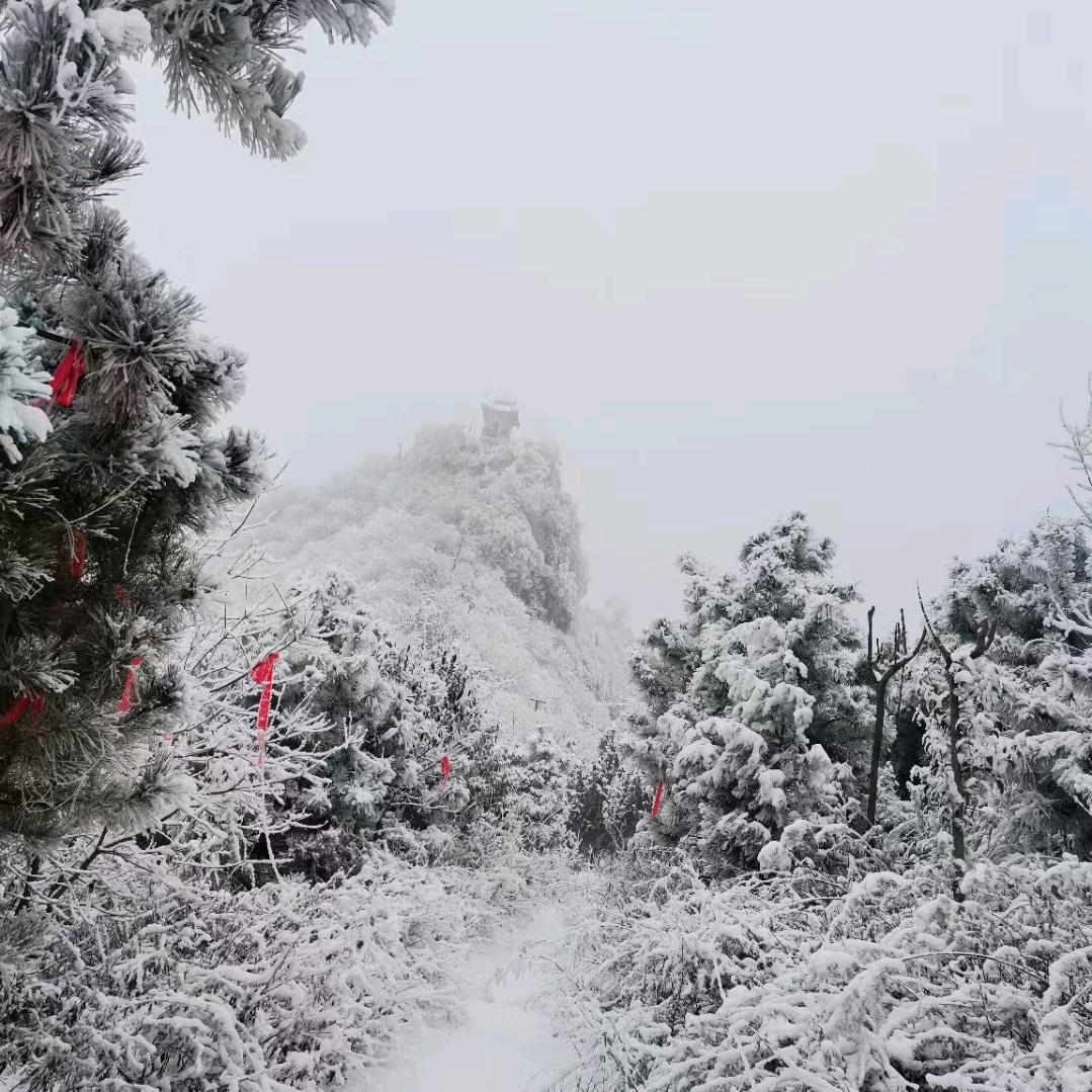 万物皆可盘
