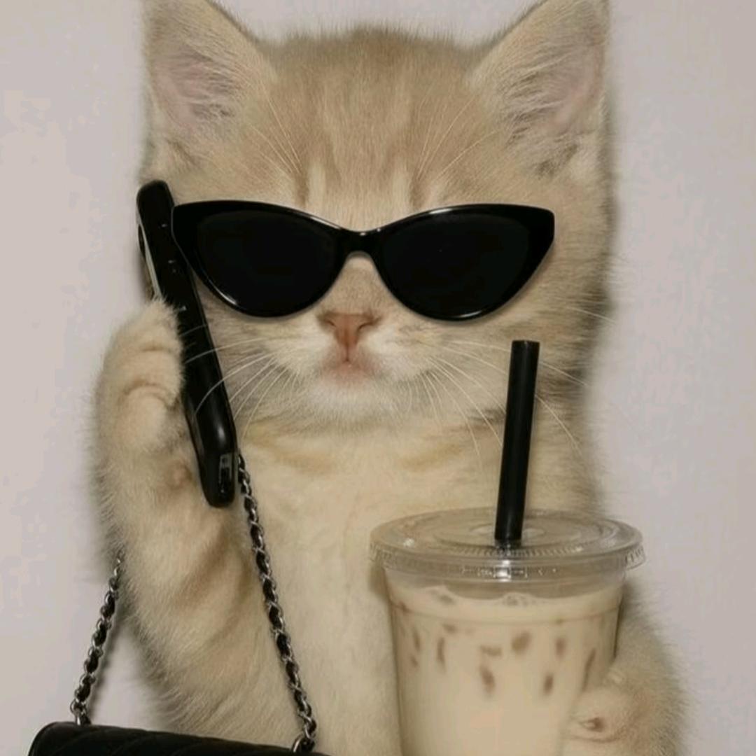 。-  。