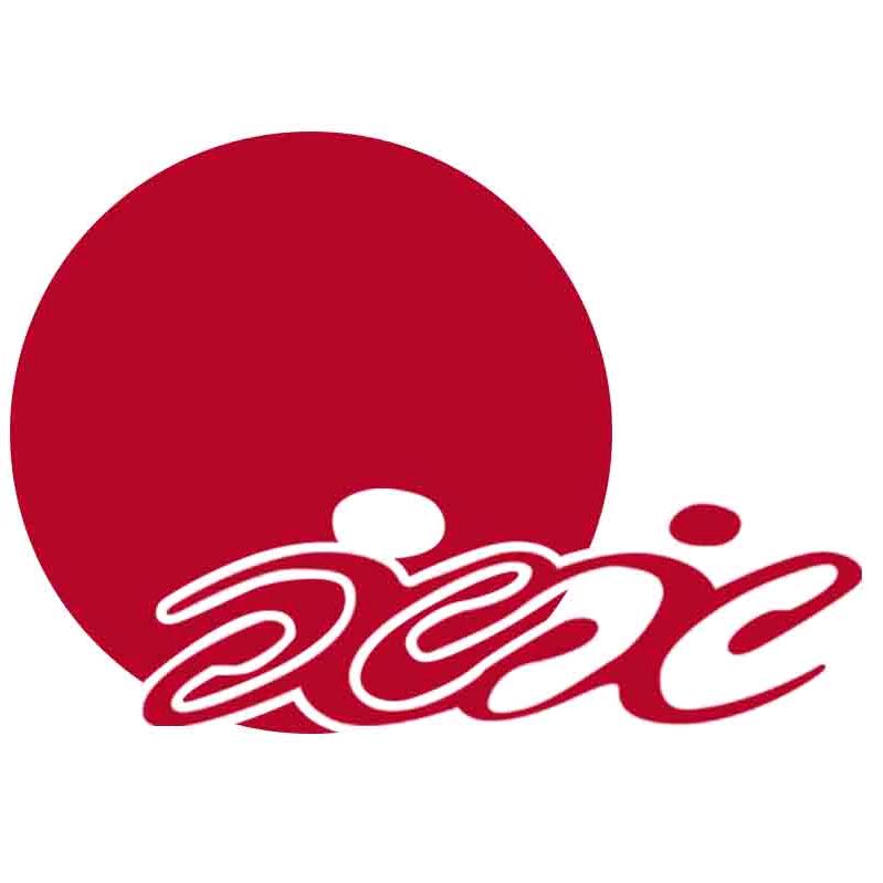 金岳臻选