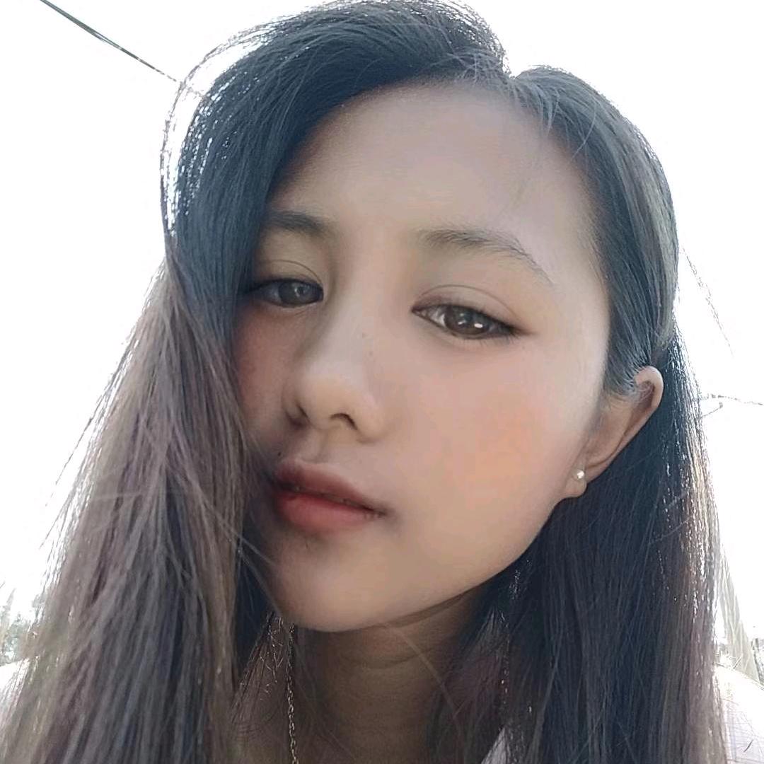 哈 尼 燕 子