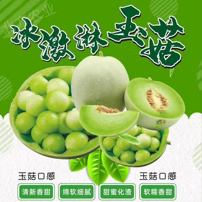 河南万亩瓜果蔬菜帅帅水果店