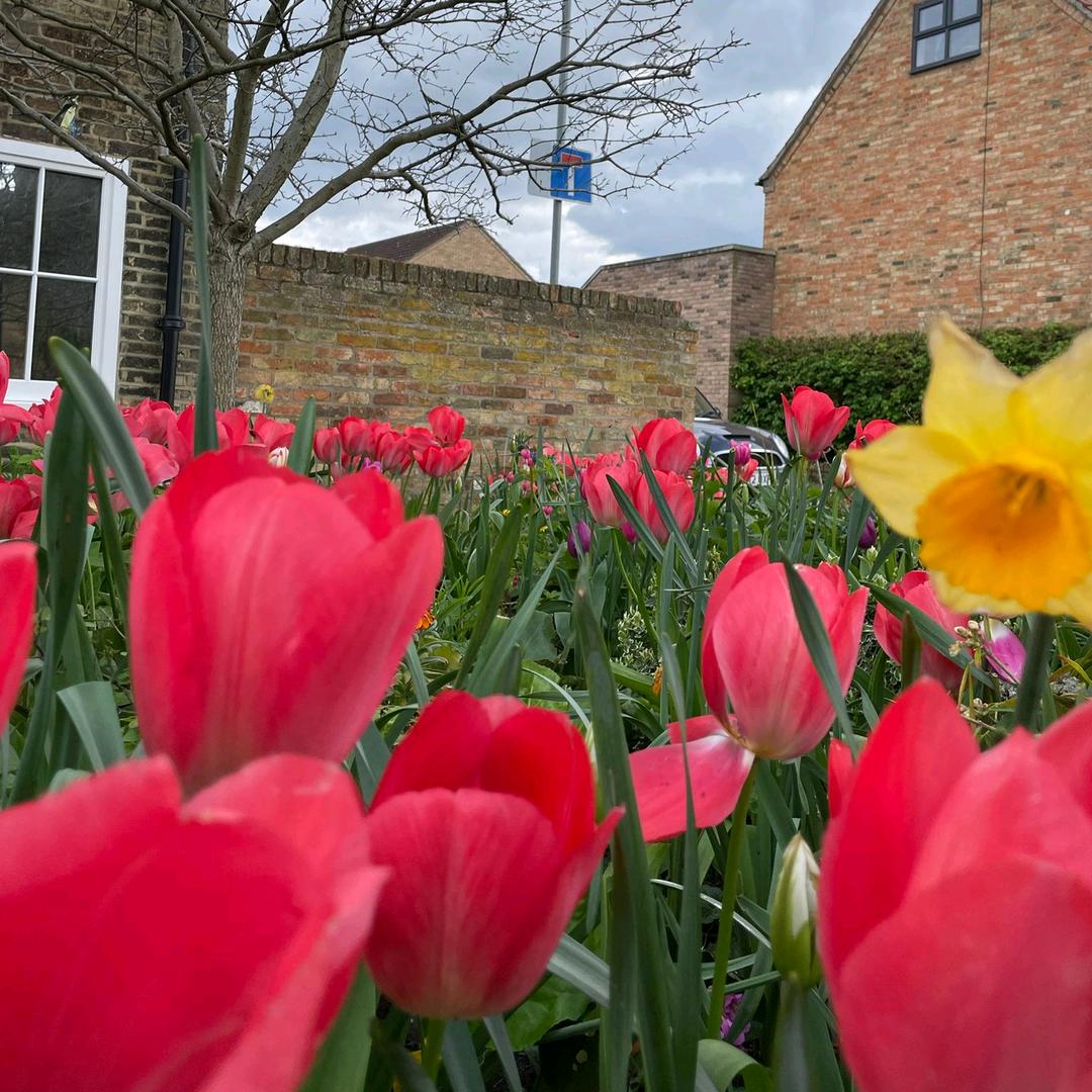 如茵☘️jm✨️