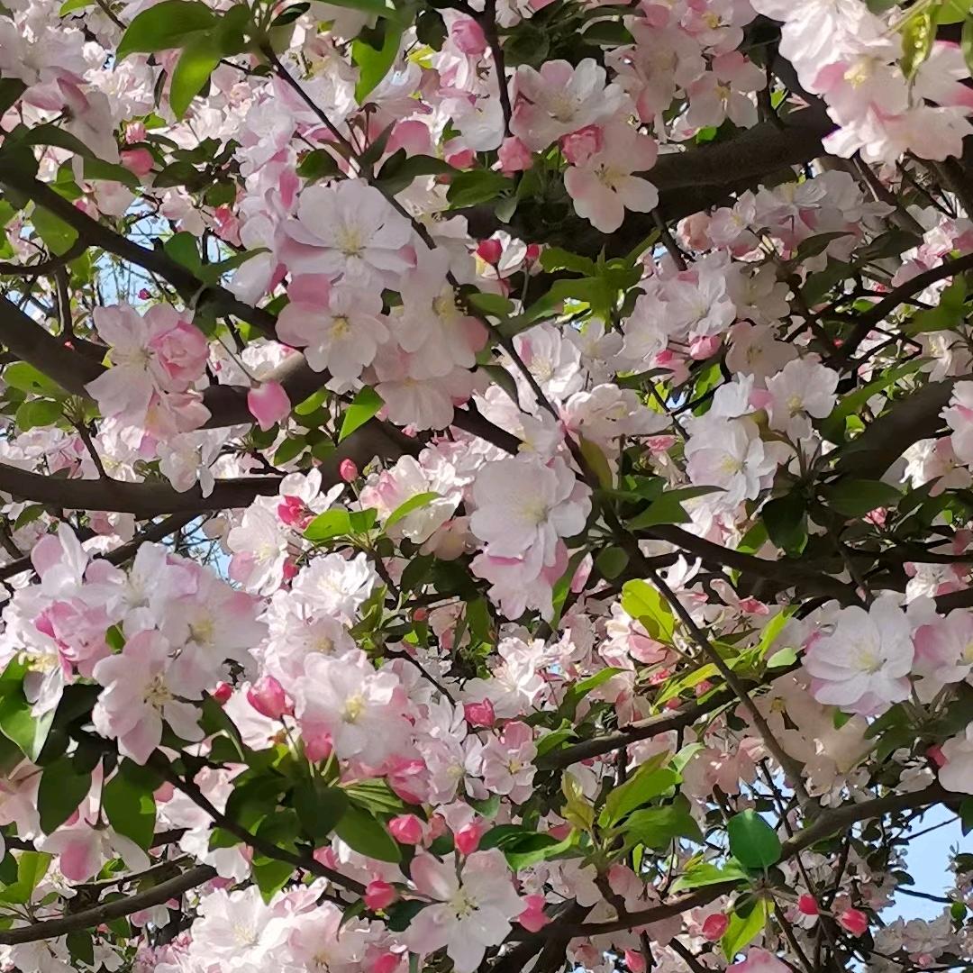 几美造型(禧福·荷堂A区店)官方号