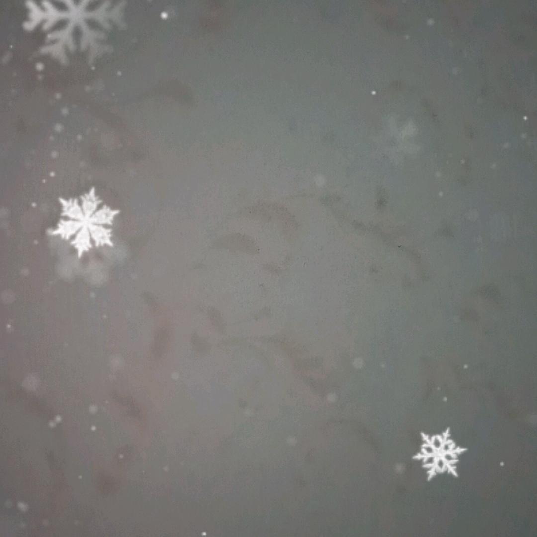 经纬哥