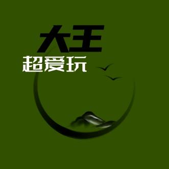 大王超爱玩