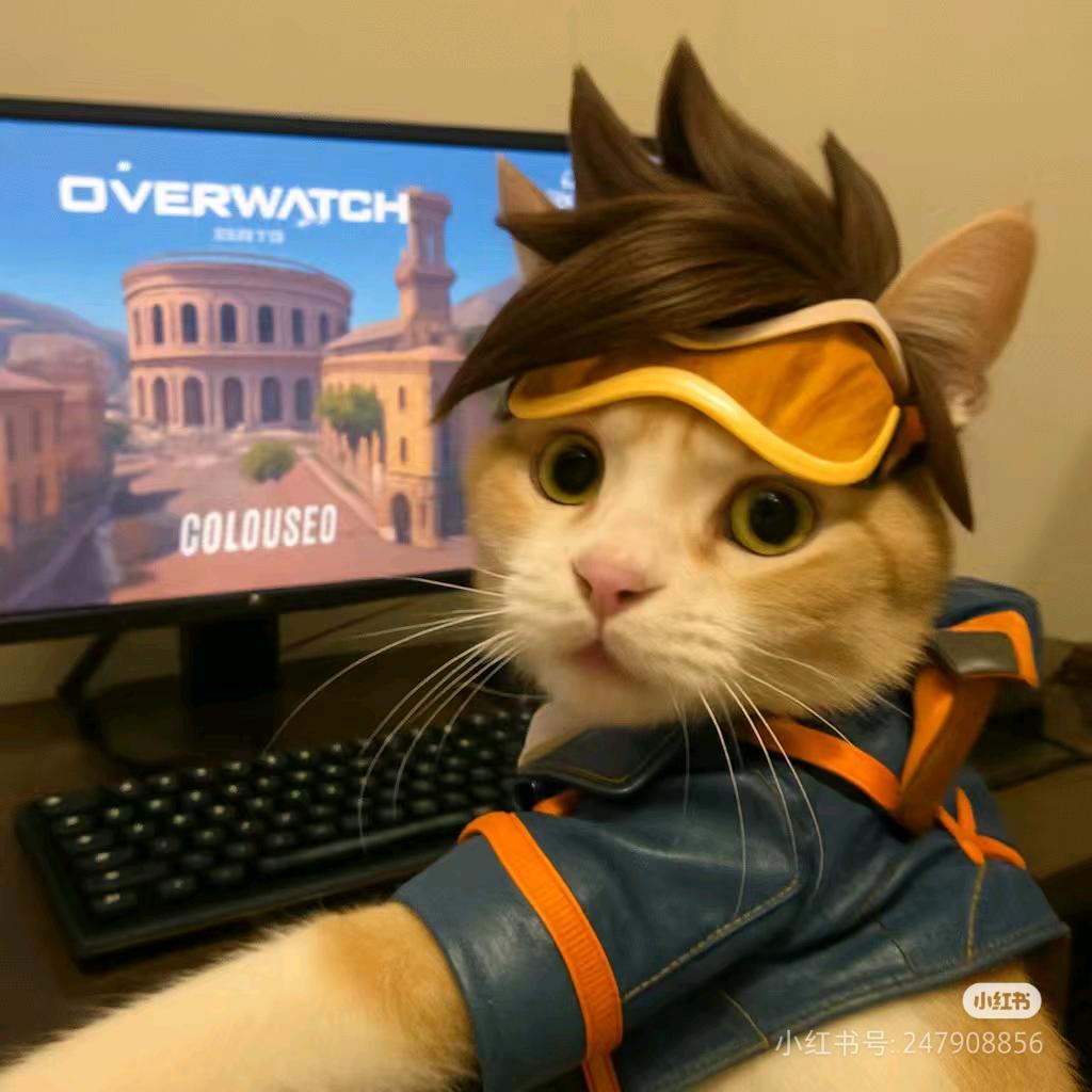 牢瓦（守望先锋归来）