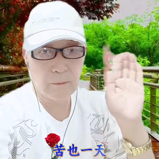 退休的一名成员一一一莲花🌸