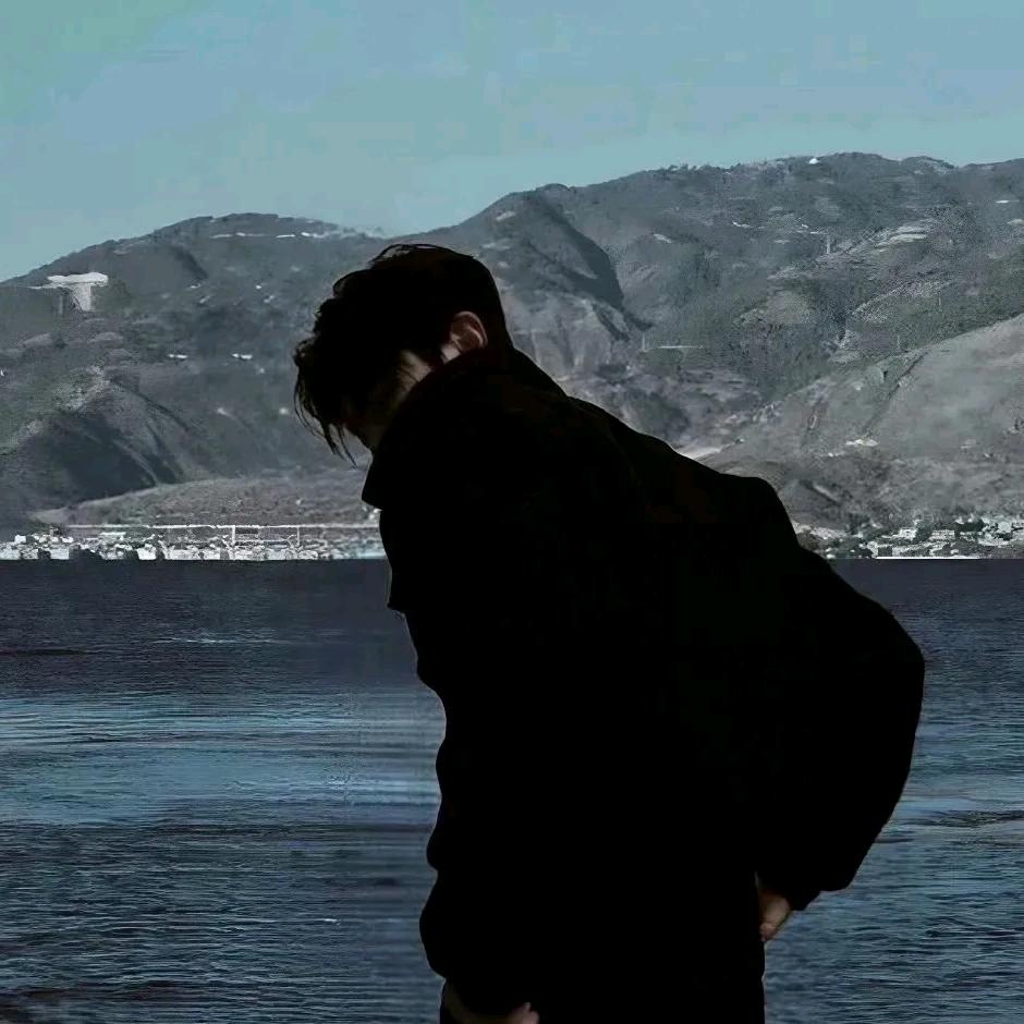 云十二的camellia