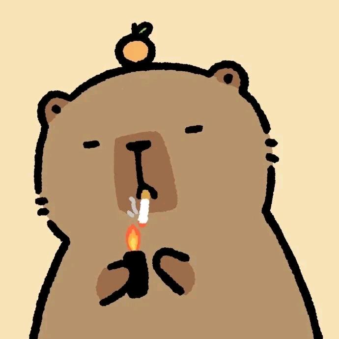 壳壳