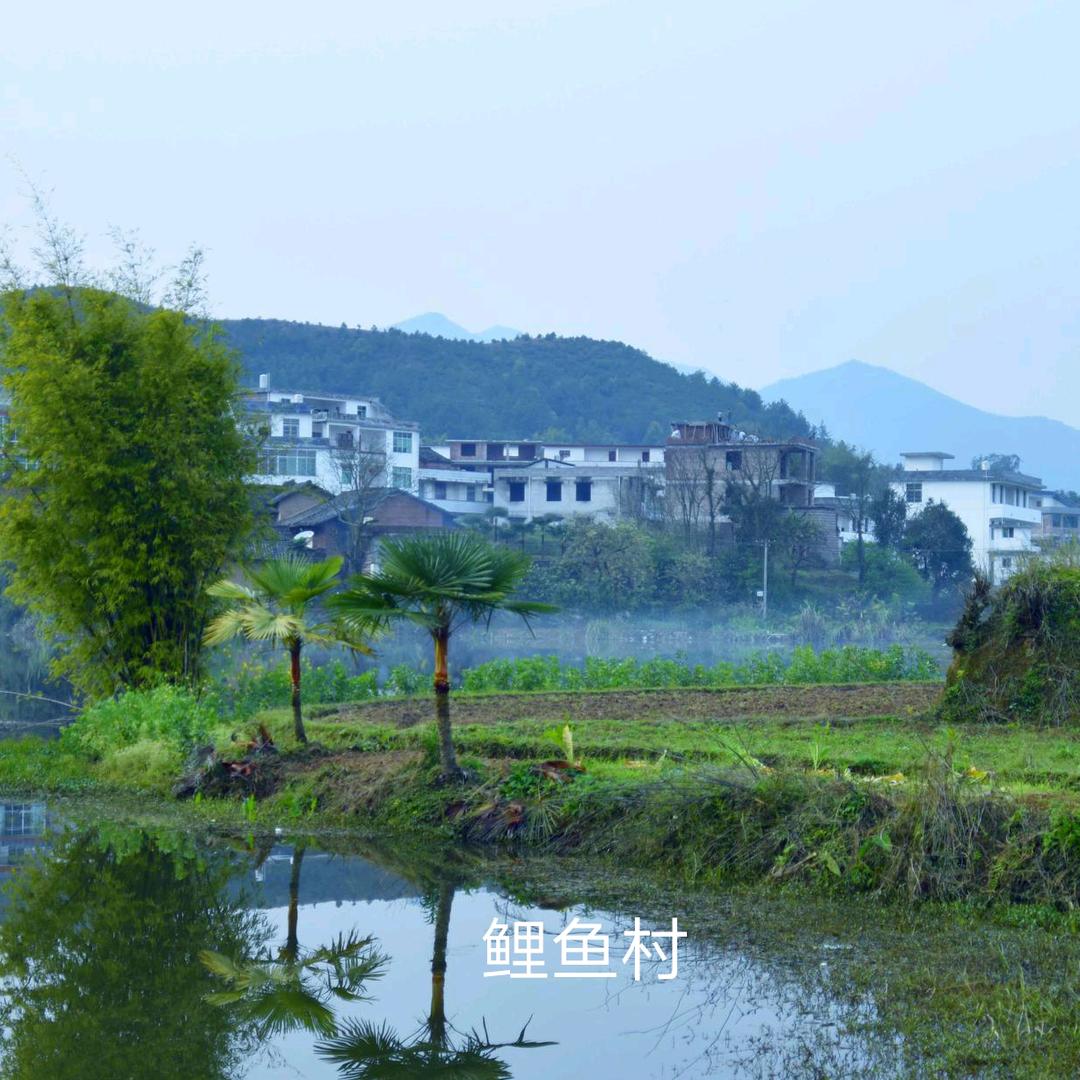 1对1错不了