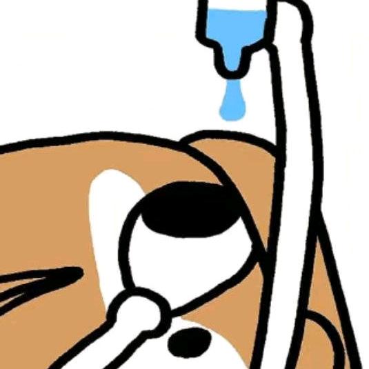 Skdfzz ദ്ദി˶ｰ̀֊ｰ́ )✧