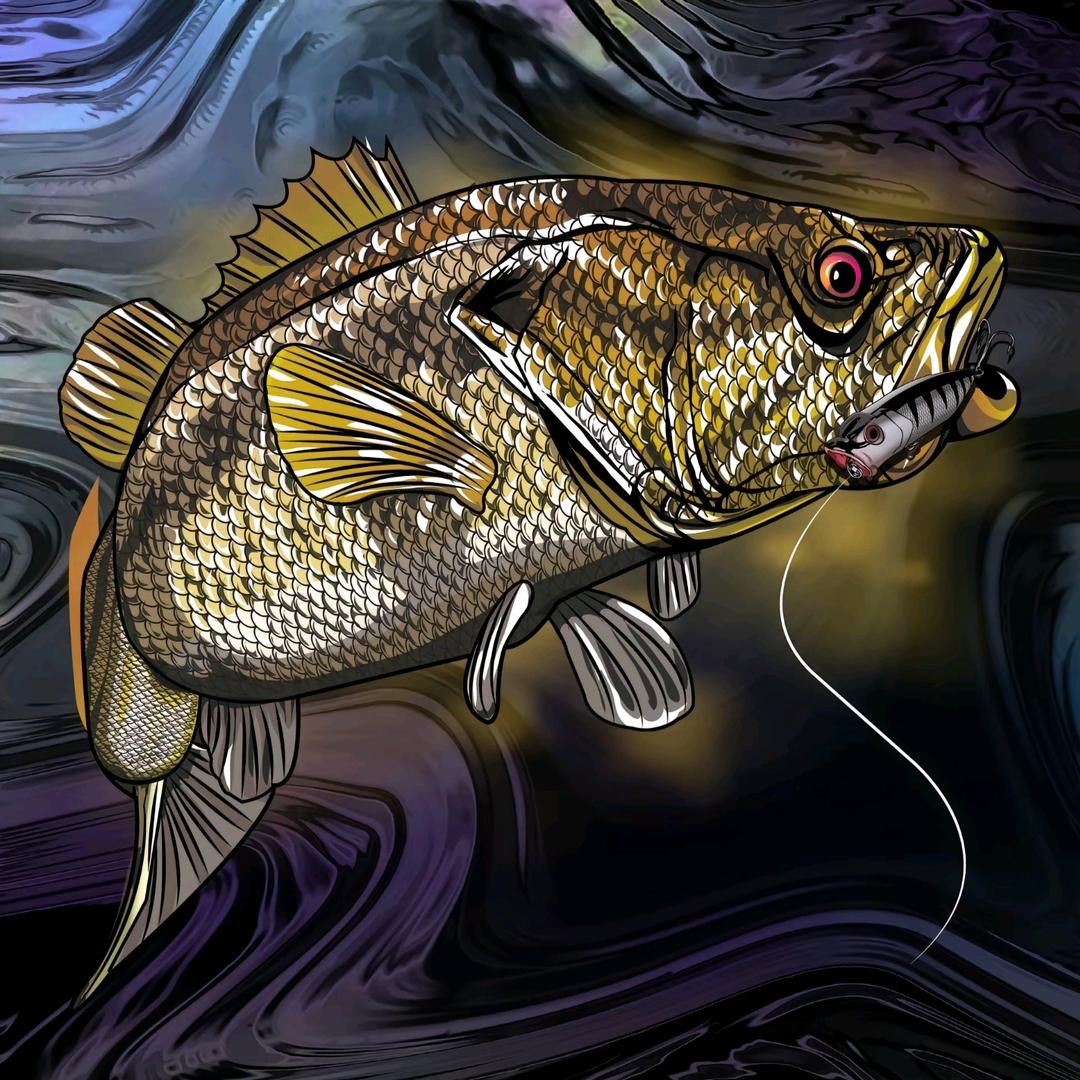 小耗子玩路亚🎣