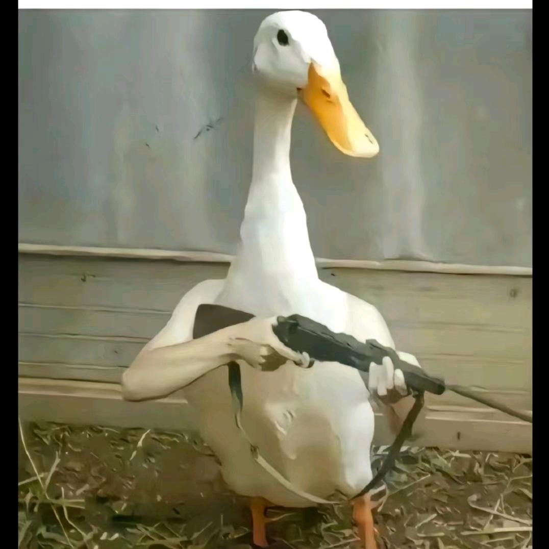 25448961308