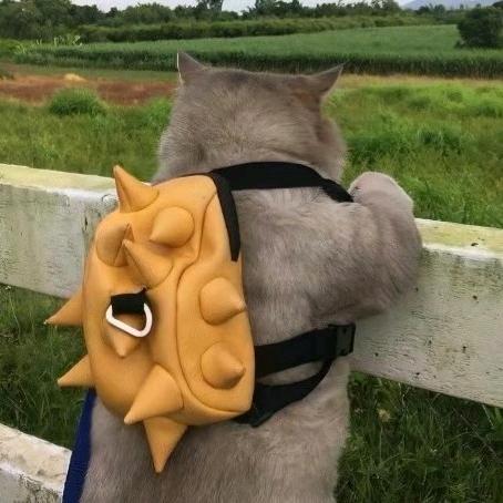 罐装