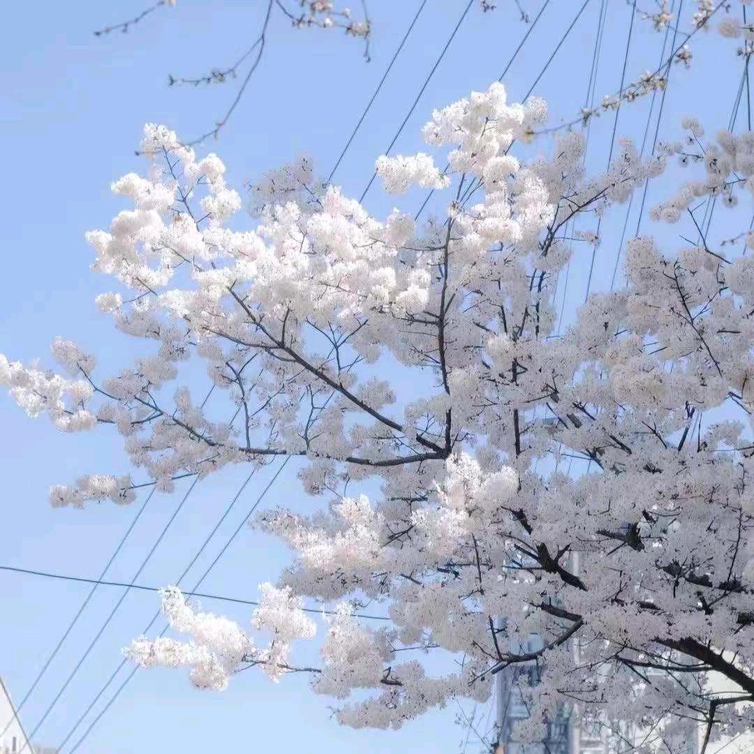 风友大本营-雷总