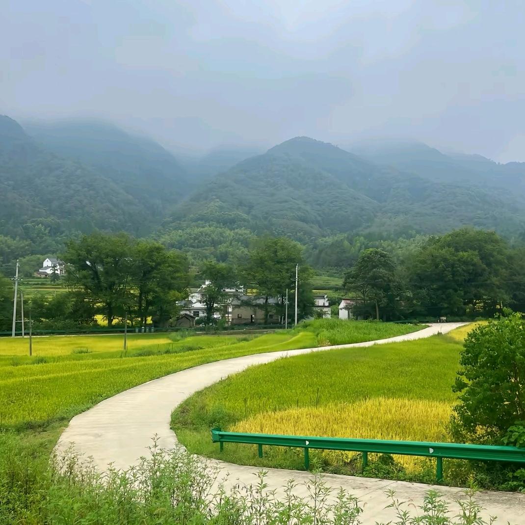 安国昕翎滋补大全