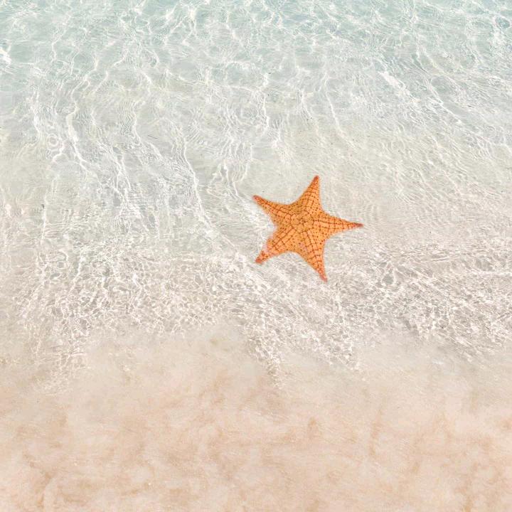 漫无天际随浪漂