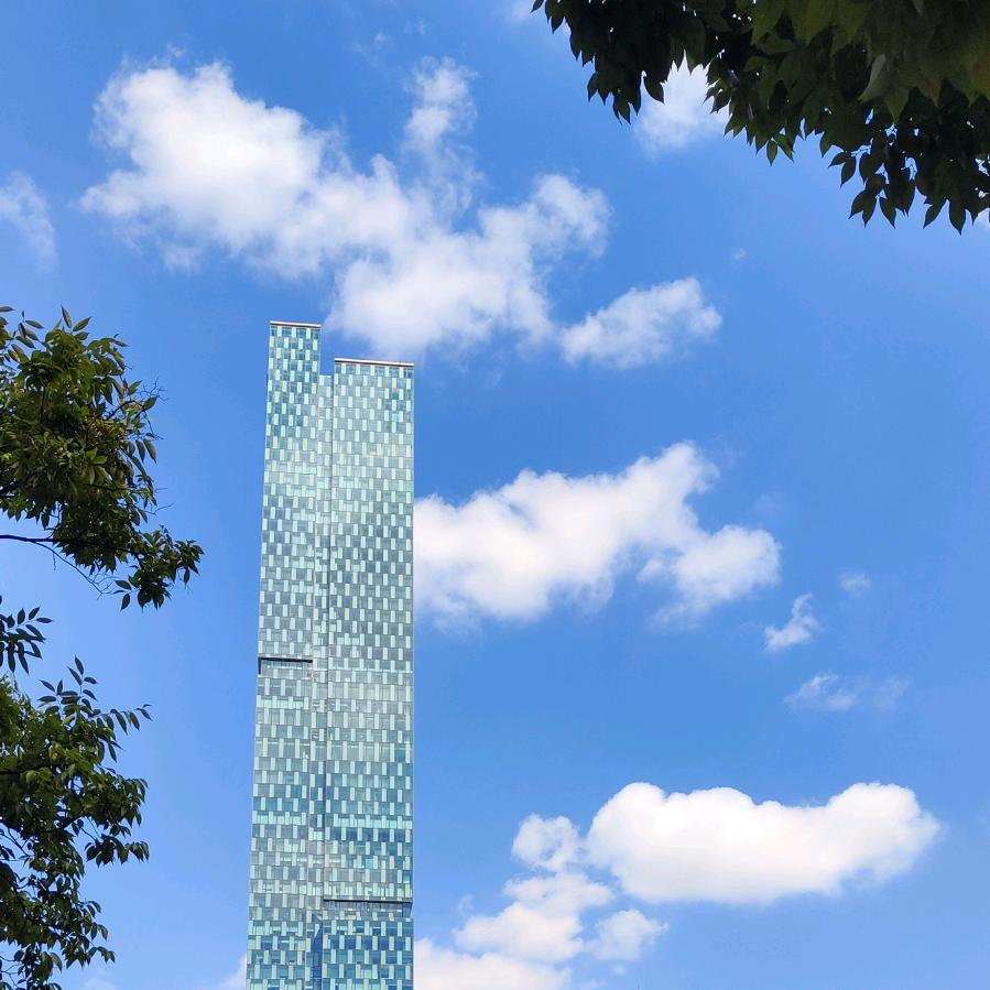 没想过你会走