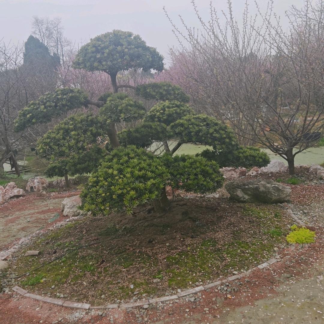 生禾园艺
