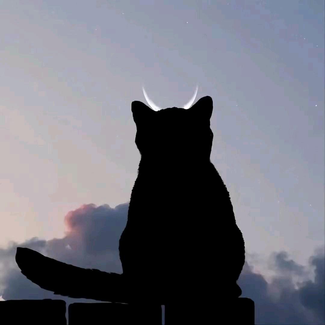小班头像