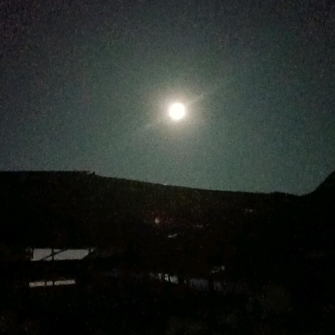 爱塑马