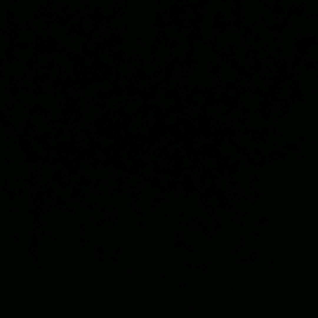 新丽