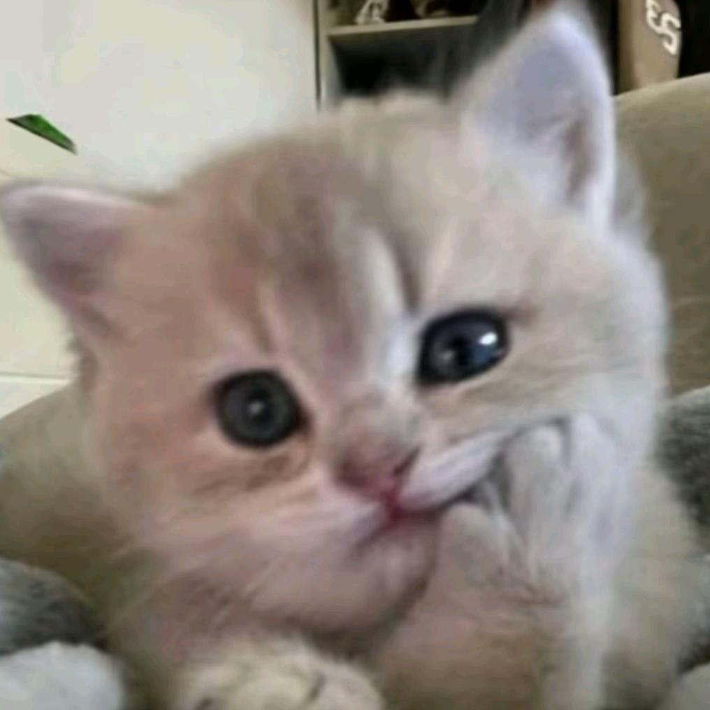 我在