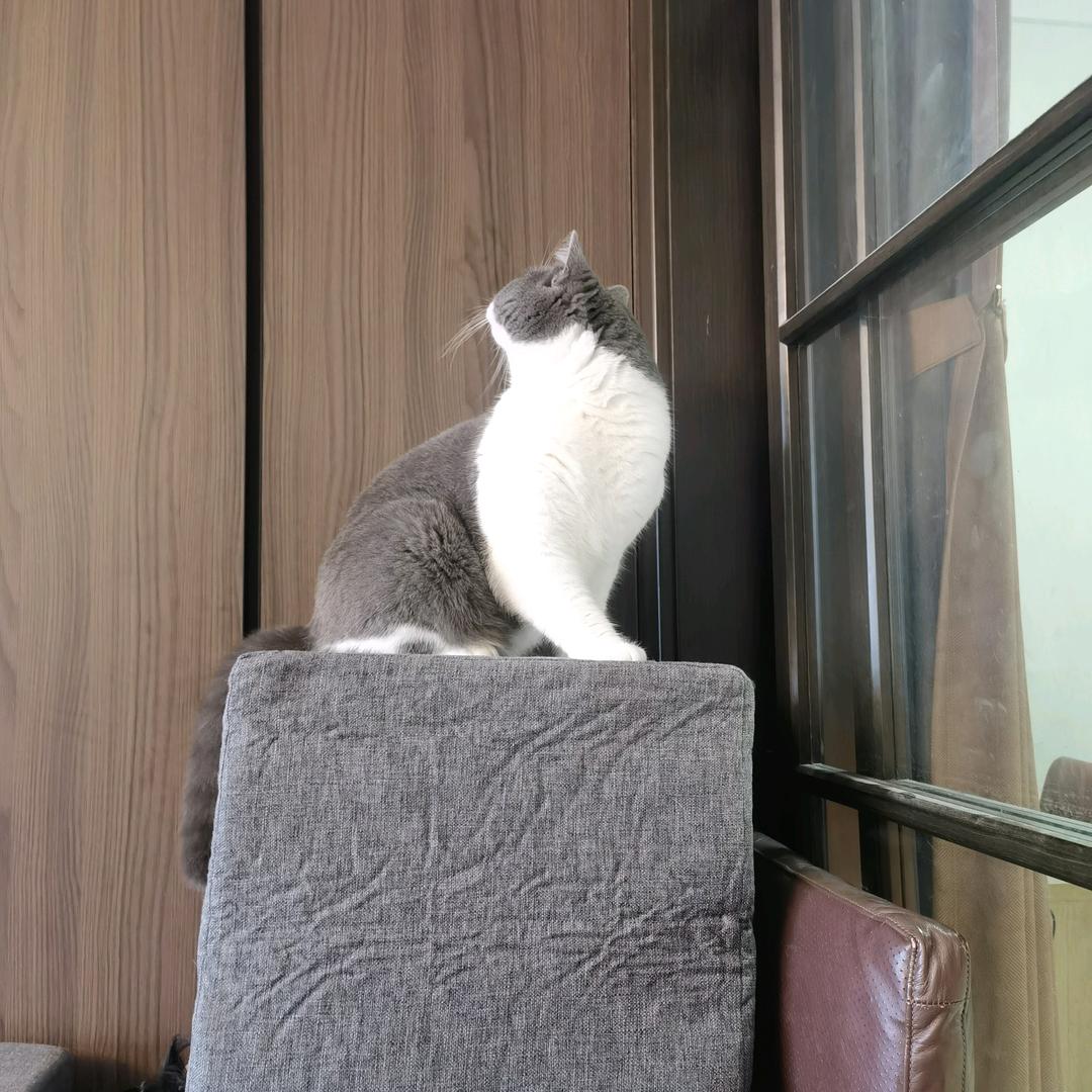 路人丙