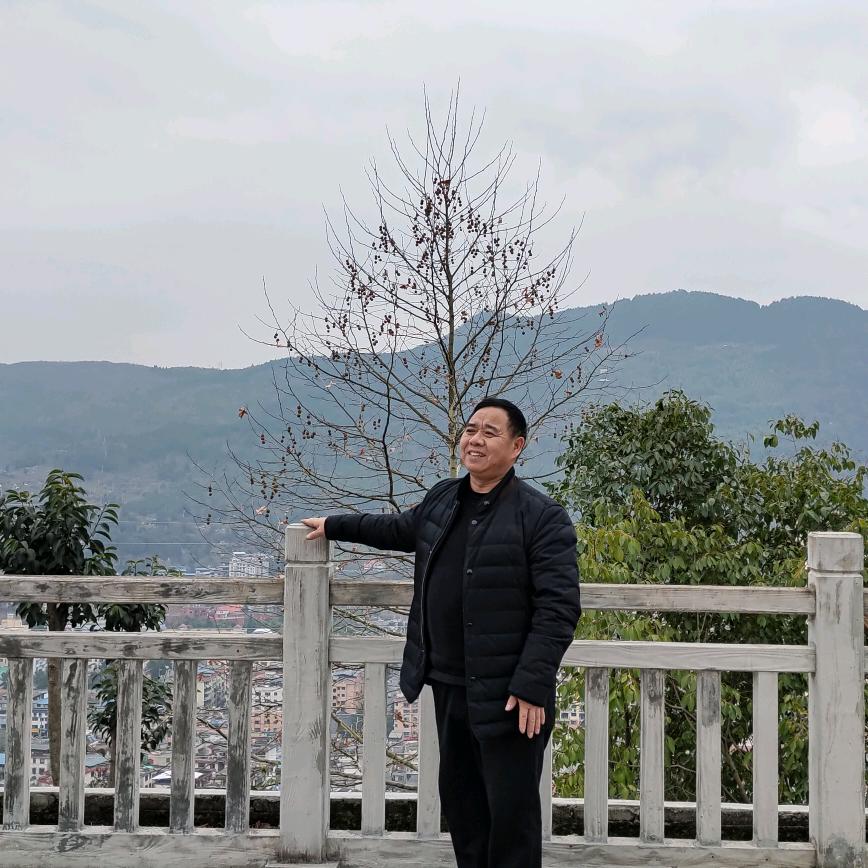 陈司