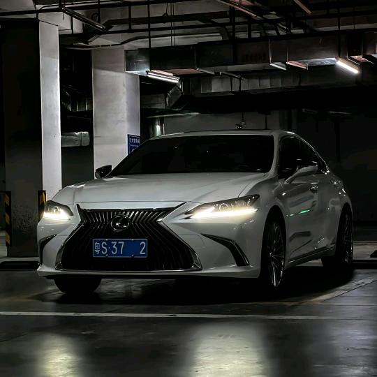 ❤️1洛3桑7顿6扎❤️