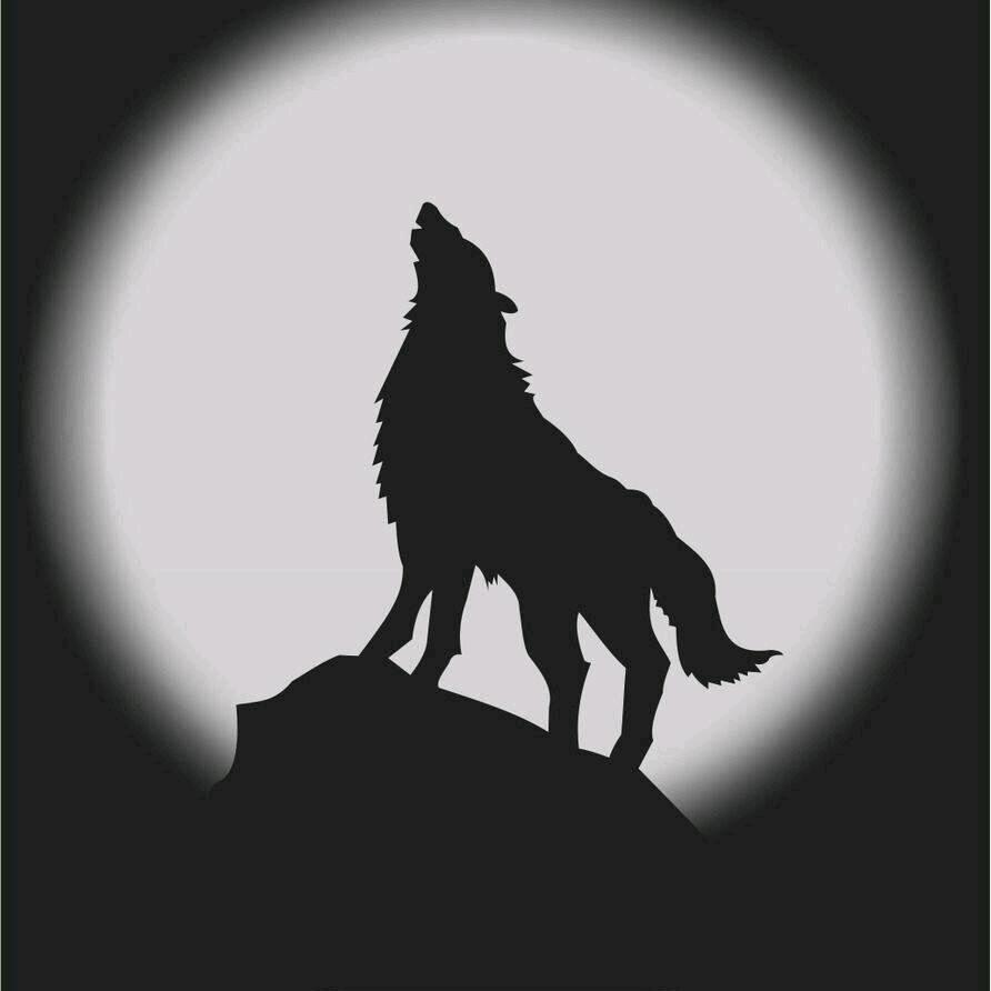 尘烟隐入（周哥）