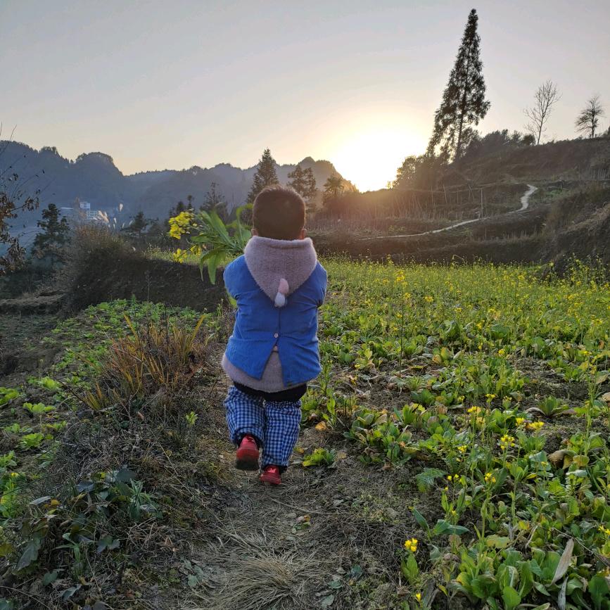 ꫞꯭A冰 雪 ꯭꫞