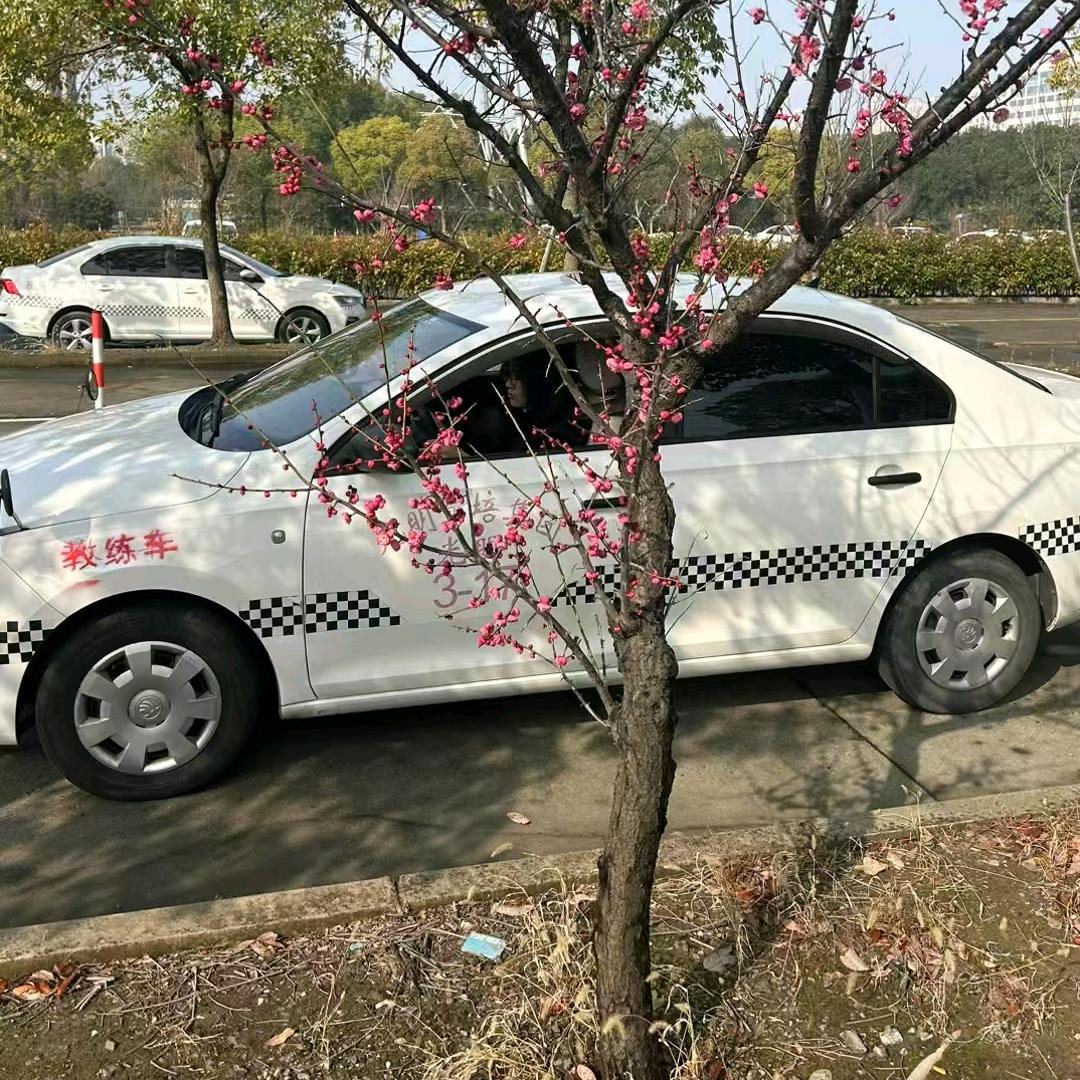 钟教练（上海）