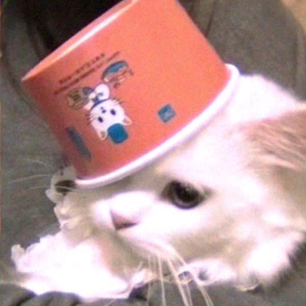 Syrup