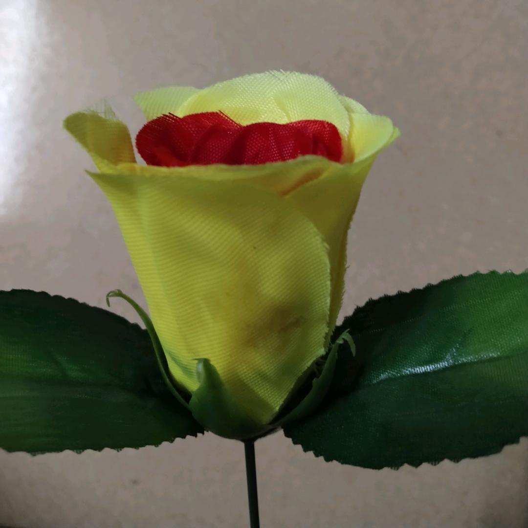 唯一的爱🧡ྀི💛ྀི❤️ྀི