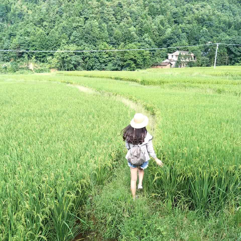 白菜叶耶✌