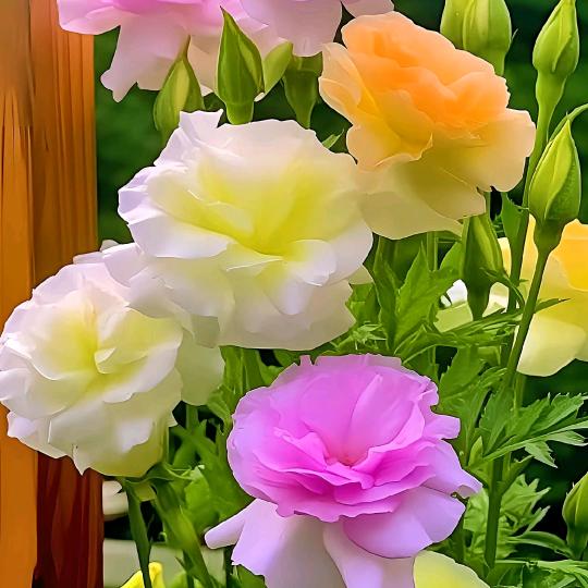 程程🌻可🌺私🌺聊