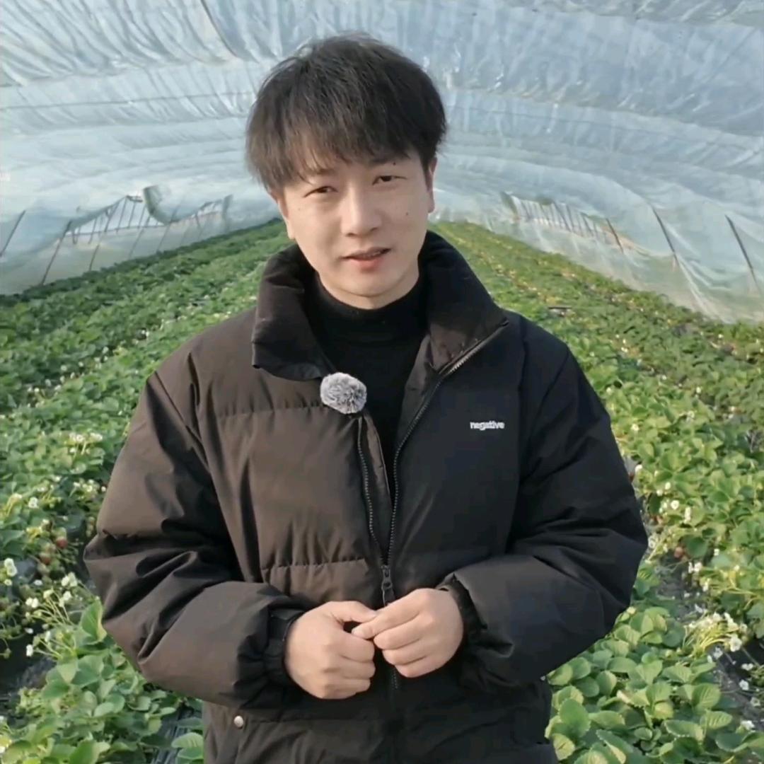 拜耳小贾-助力果蔬增产