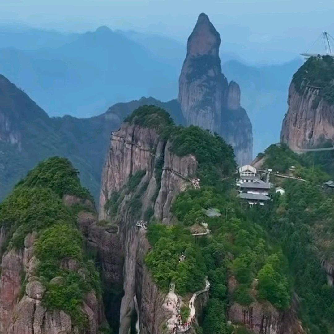 台 州   小    罗   哥