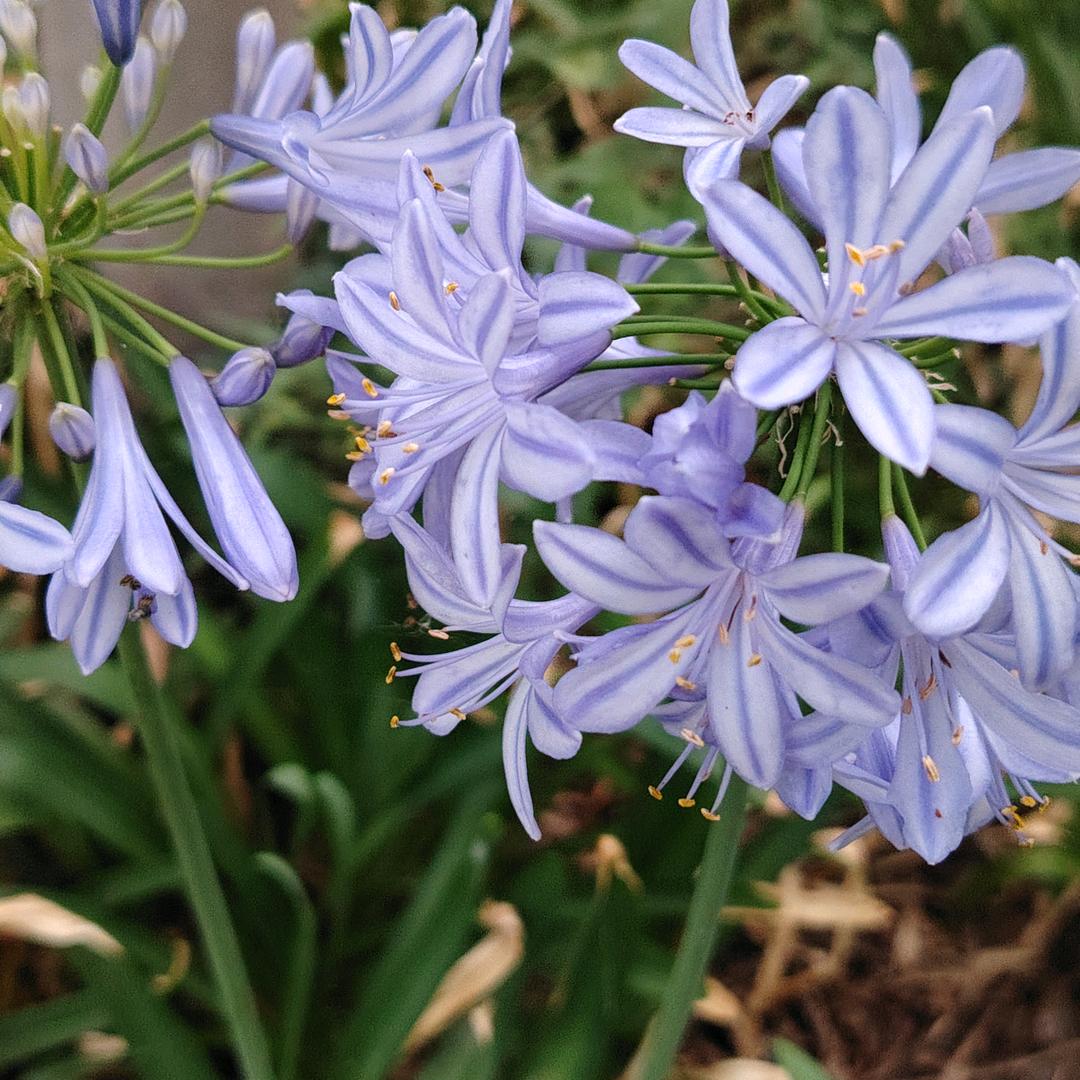 有梦想，就有希望。