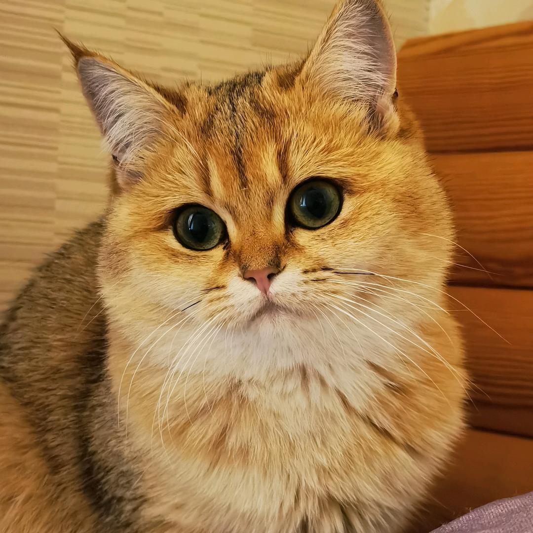 十四～