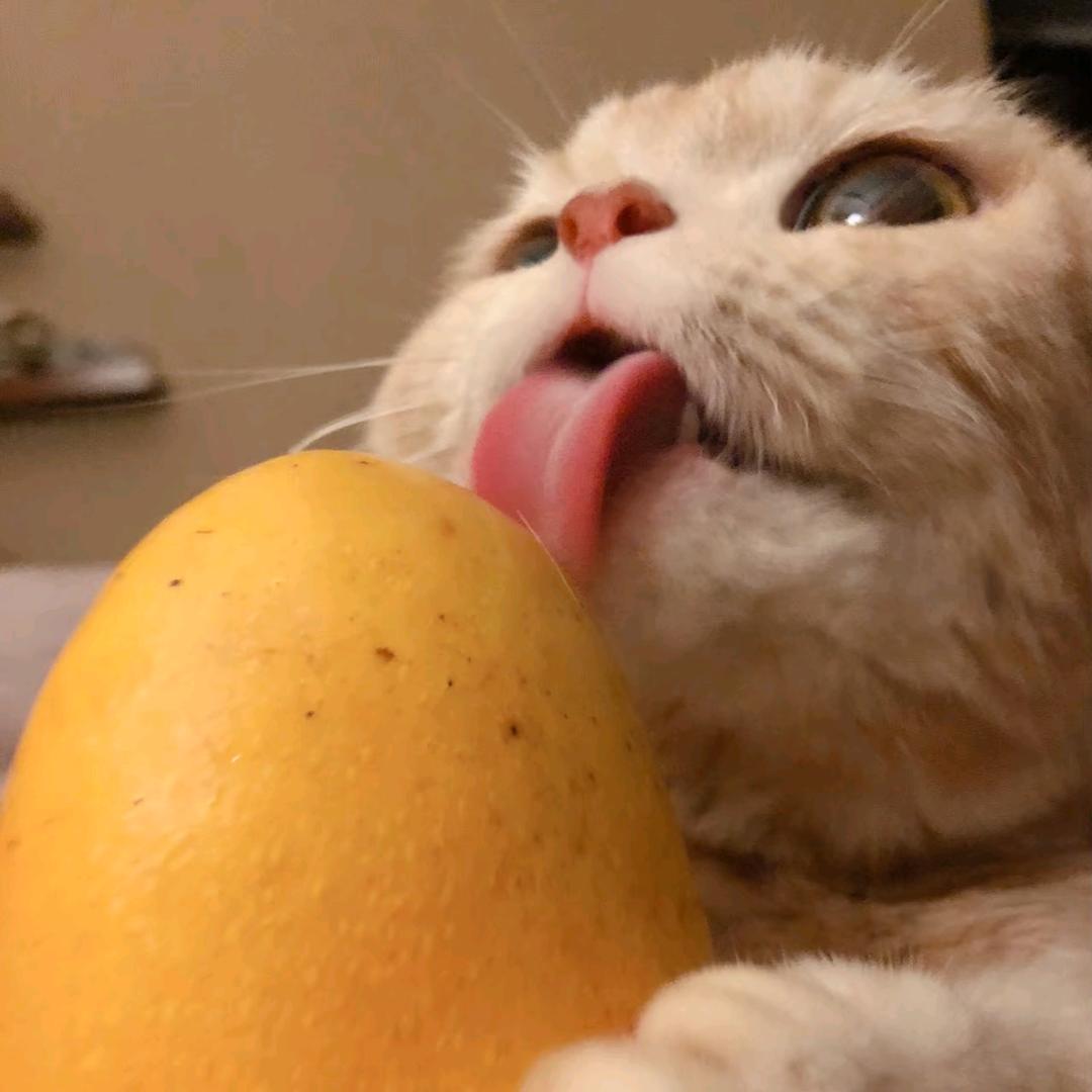 鹤东