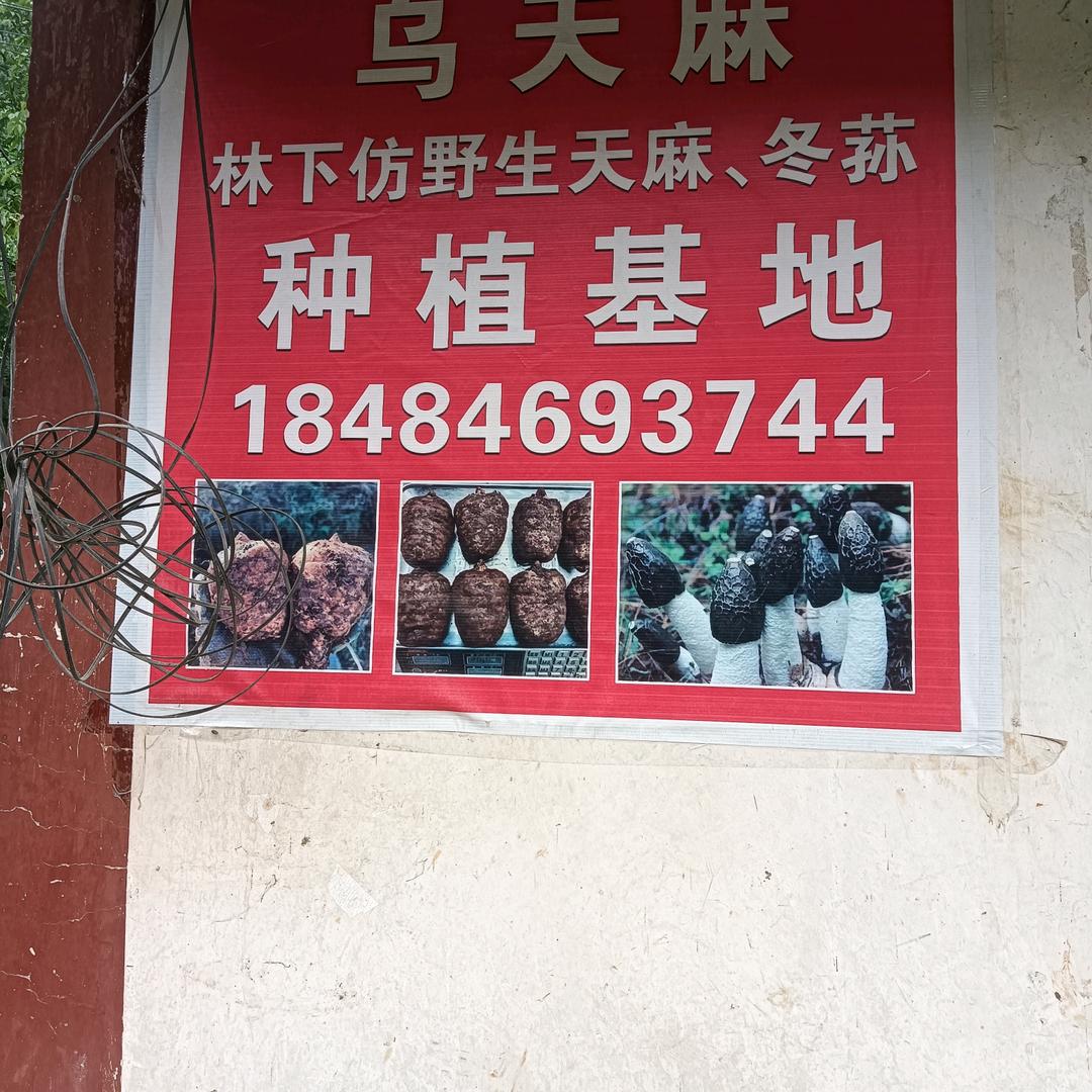 郎学进种养殖精品小铺