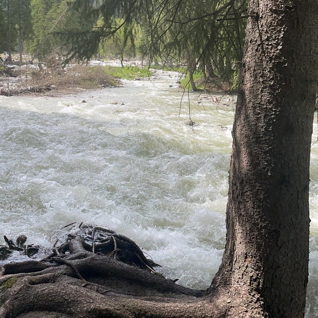 坚持就是胜利518