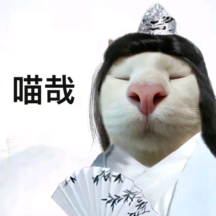 给我点钱