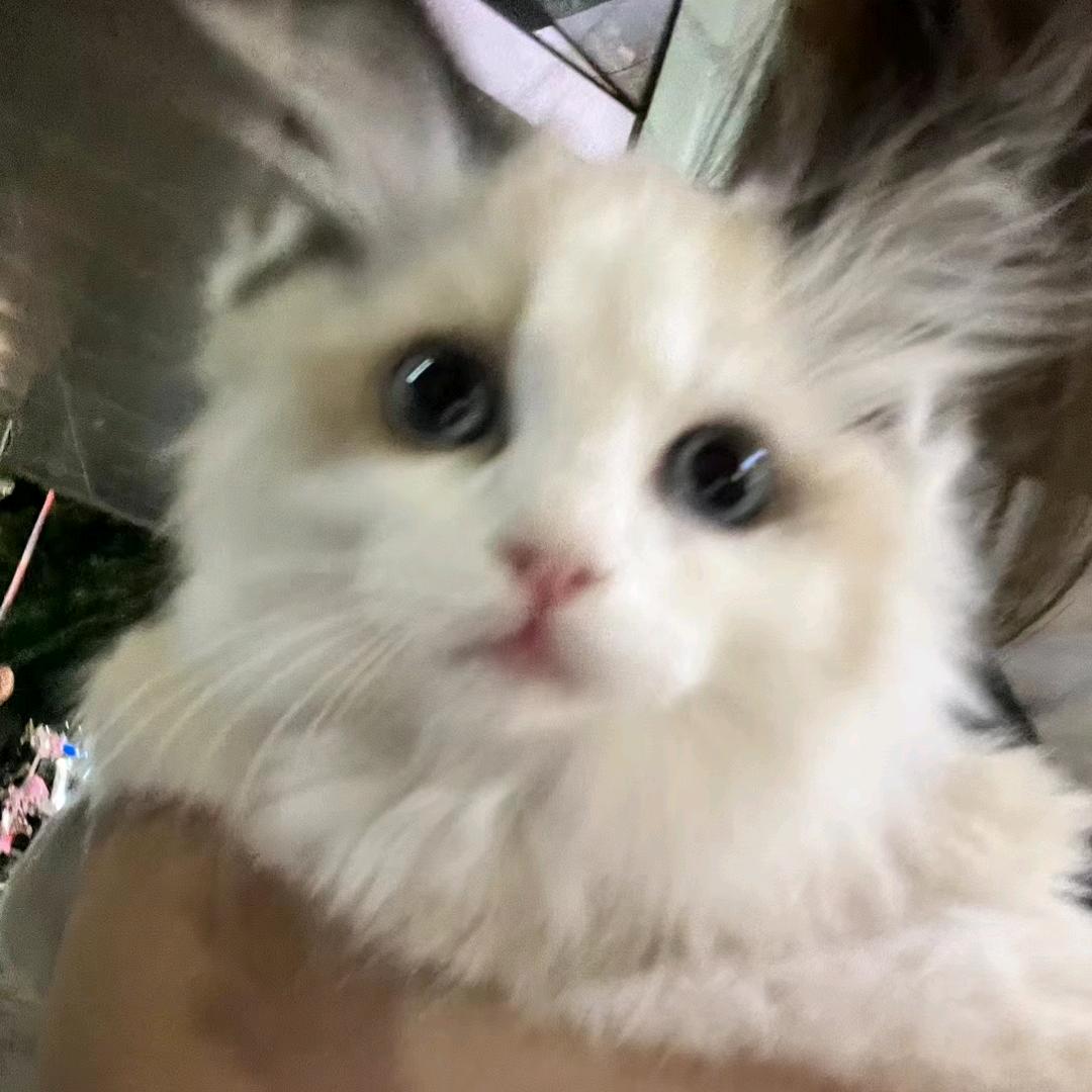 风雨中