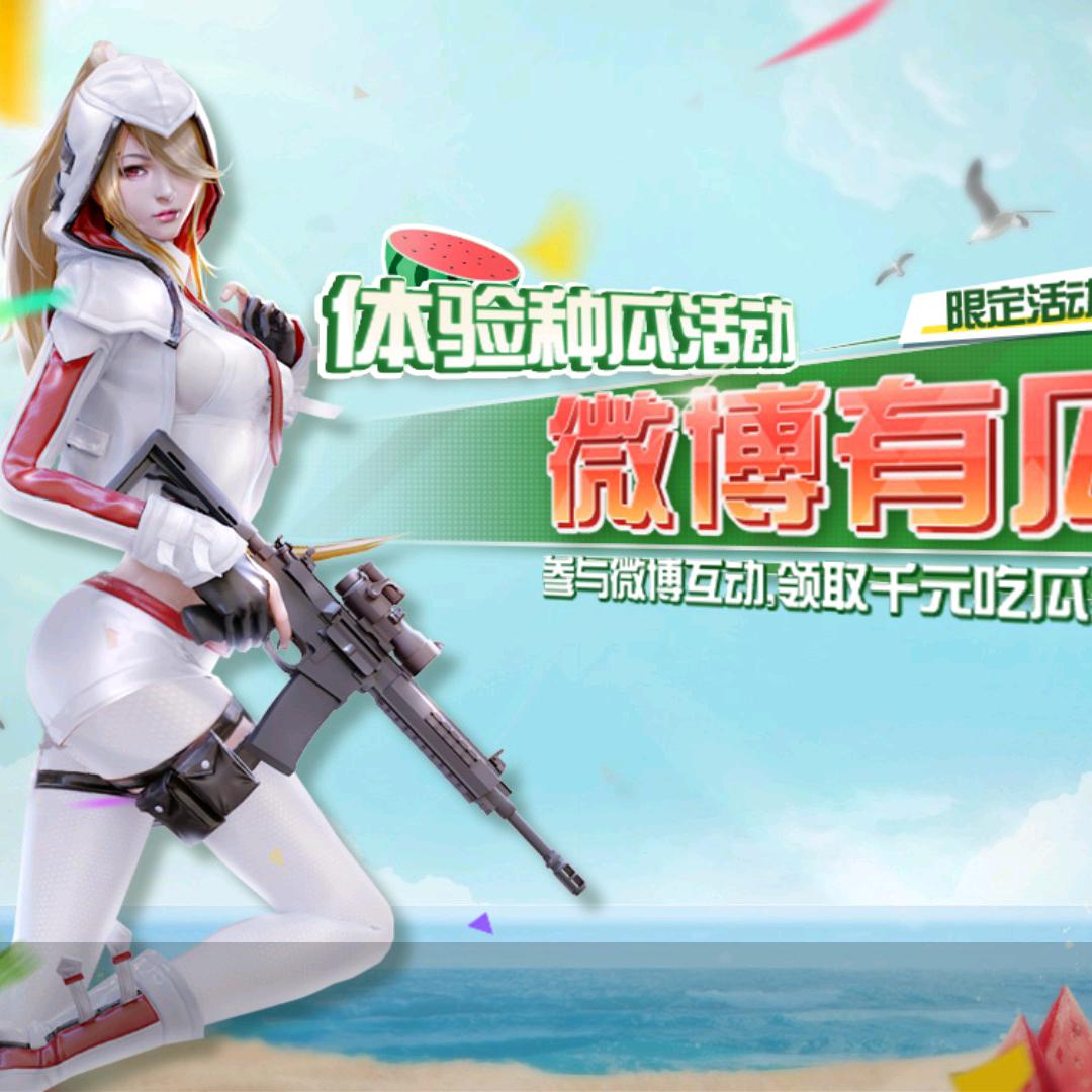 数码