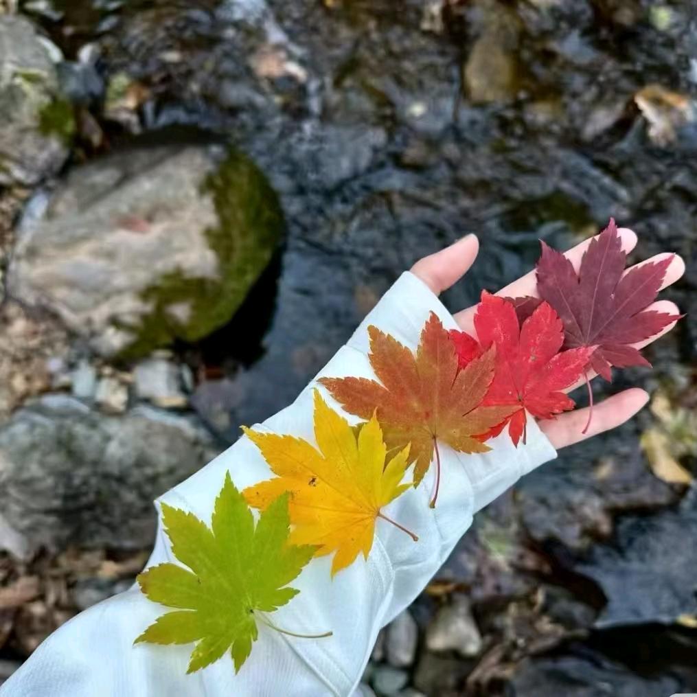 糖果